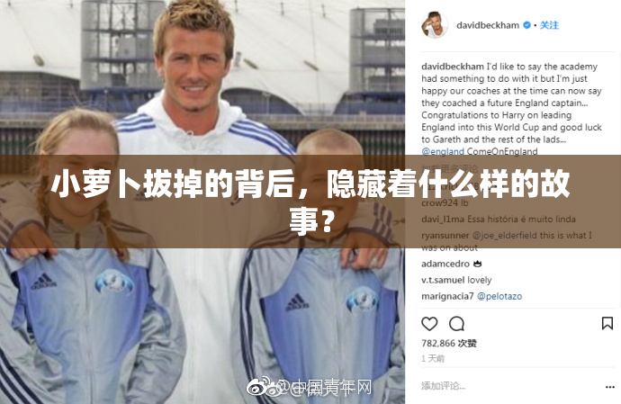 小萝卜拔掉的背后，隐藏着什么样的故事？