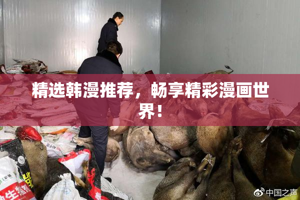 精选韩漫推荐，畅享精彩漫画世界！