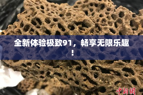 全新体验极致91，畅享无限乐趣！