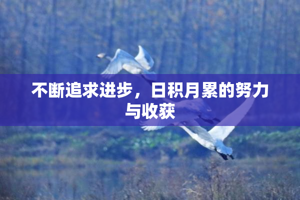 不断追求进步，日积月累的努力与收获
