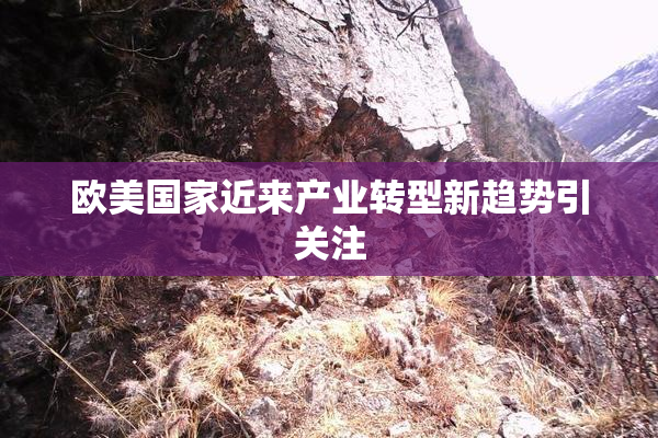 欧美国家近来产业转型新趋势引关注