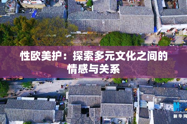 性欧美护：探索多元文化之间的情感与关系
