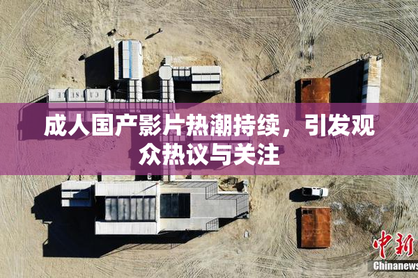 成人国产影片热潮持续，引发观众热议与关注
