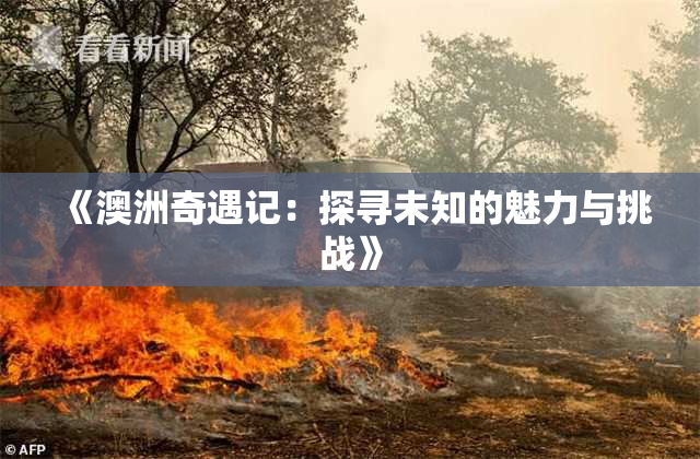 《澳洲奇遇记：探寻未知的魅力与挑战》