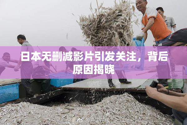 日本无删减影片引发关注，背后原因揭晓
