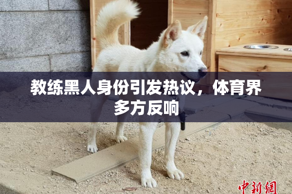 教练黑人身份引发热议，体育界多方反响