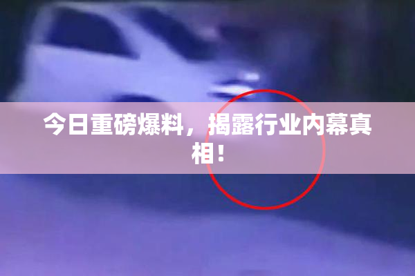 今日重磅爆料，揭露行业内幕真相！