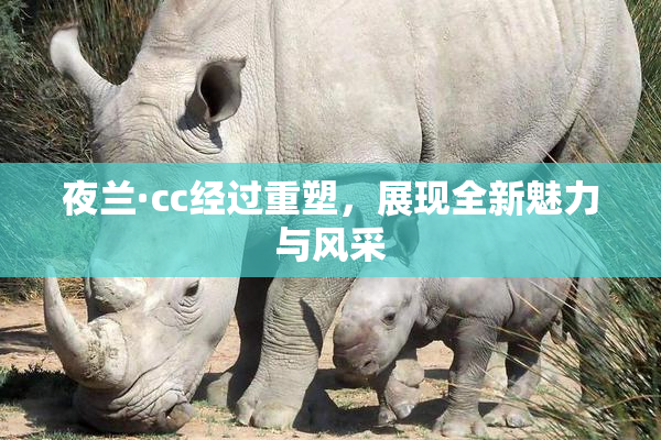 夜兰·cc经过重塑，展现全新魅力与风采
