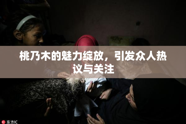 桃乃木的魅力绽放，引发众人热议与关注