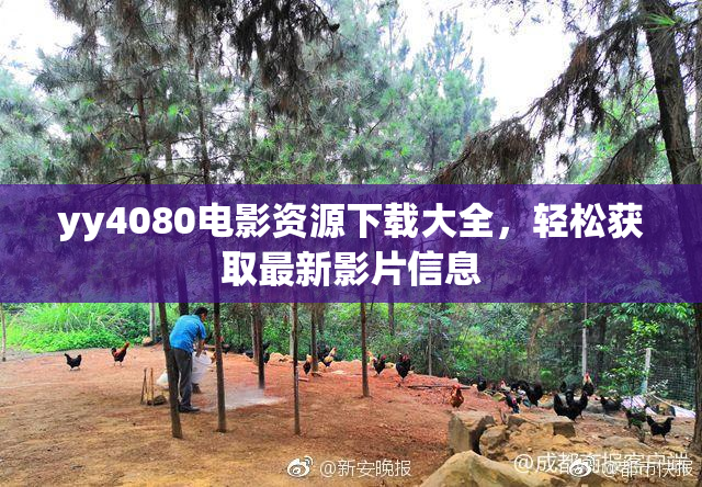 yy4080电影资源下载大全，轻松获取最新影片信息