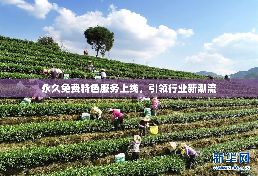 永久免费特色服务上线，引领行业新潮流