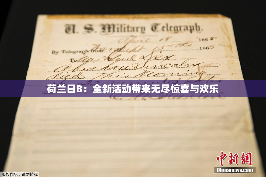 荷兰日B：全新活动带来无尽惊喜与欢乐