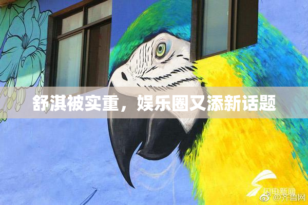 舒淇被实重，娱乐圈又添新话题