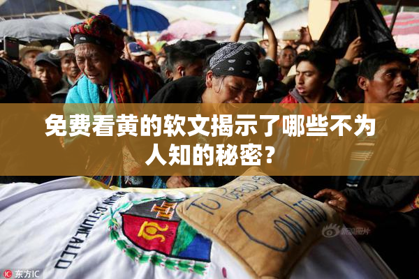 免费看黄的软文揭示了哪些不为人知的秘密？