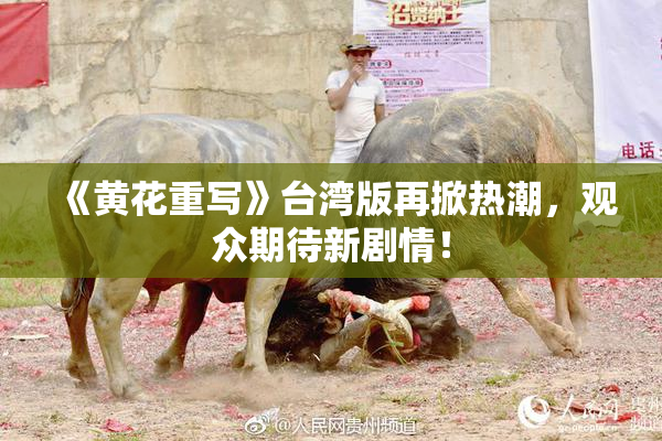 《黄花重写》台湾版再掀热潮，观众期待新剧情！