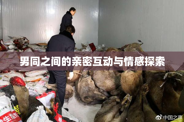 男同之间的亲密互动与情感探索