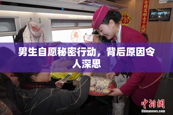 男生自愿秘密行动，背后原因令人深思