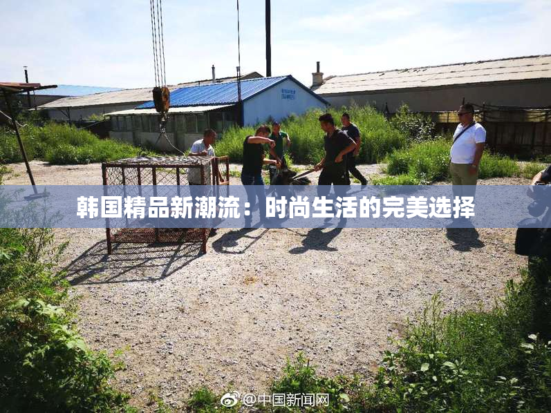 韩国精品新潮流：时尚生活的完美选择