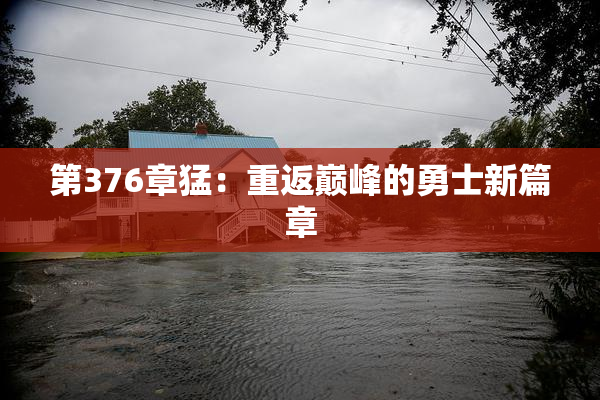 第376章猛：重返巅峰的勇士新篇章