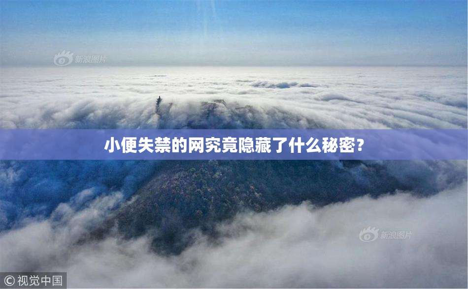 小便失禁的网究竟隐藏了什么秘密？