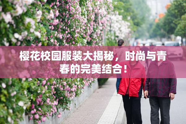 樱花校园服装大揭秘，时尚与青春的完美结合！