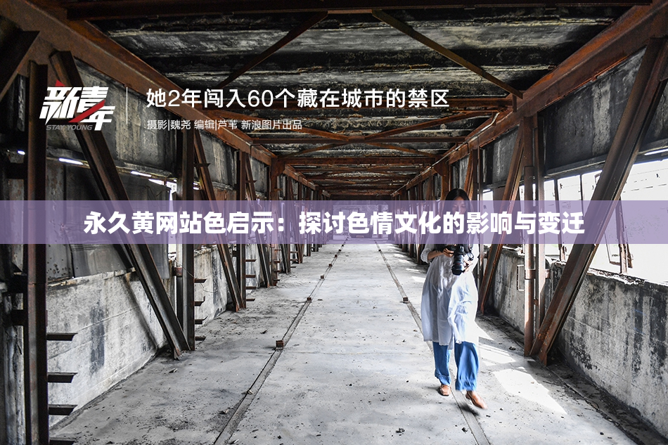 永久黄网站色启示：探讨色情文化的影响与变迁