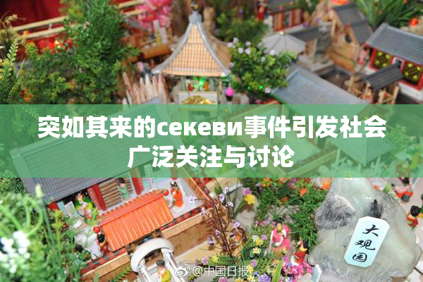 突如其来的ceкеви事件引发社会广泛关注与讨论