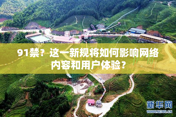 91禁？这一新规将如何影响网络内容和用户体验？