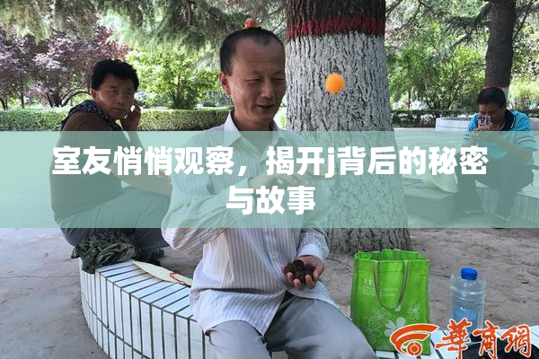 室友悄悄观察，揭开j背后的秘密与故事