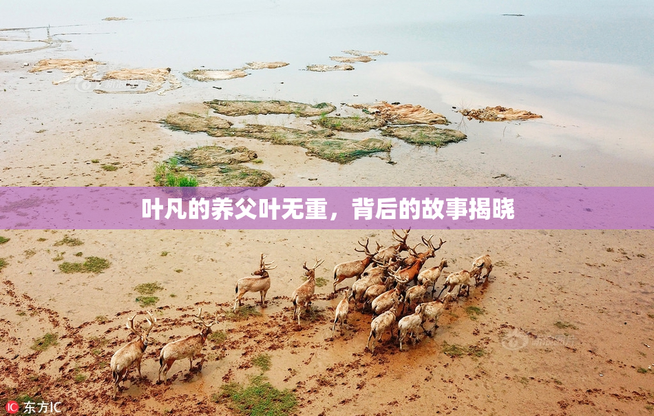 叶凡的养父叶无重，背后的故事揭晓