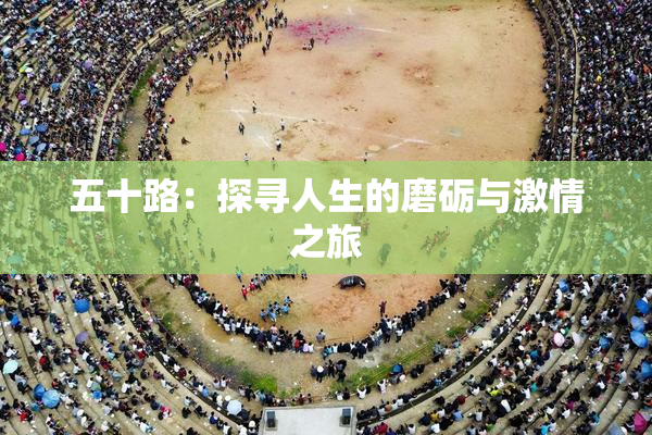 五十路：探寻人生的磨砺与激情之旅
