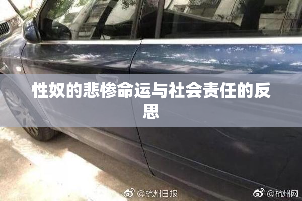 性奴的悲惨命运与社会责任的反思