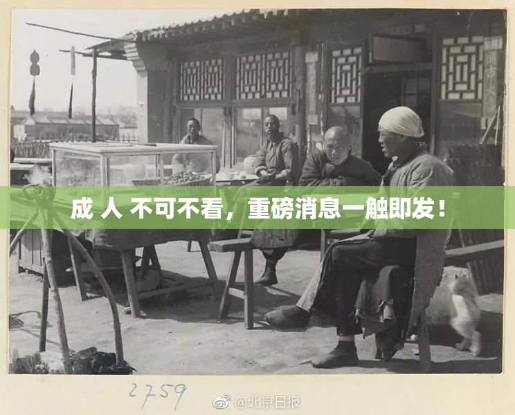 成 人 不可不看，重磅消息一触即发！