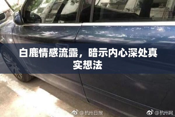 白鹿情感流露，暗示内心深处真实想法