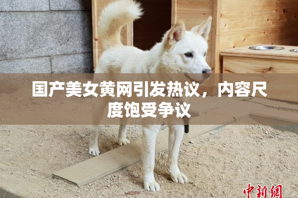 国产美女黄网引发热议，内容尺度饱受争议