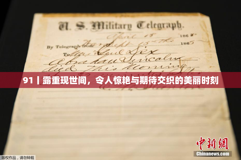 91丨露重现世间，令人惊艳与期待交织的美丽时刻