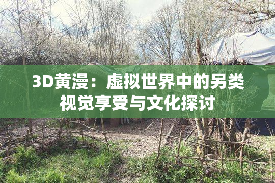 3D黄漫：虚拟世界中的另类视觉享受与文化探讨