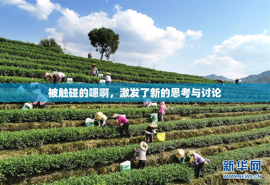 被触碰的嗯啊，激发了新的思考与讨论