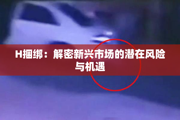 H捆绑：解密新兴市场的潜在风险与机遇