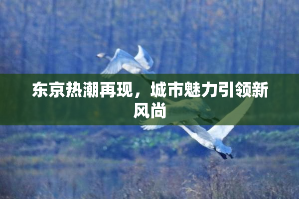 东京热潮再现，城市魅力引领新风尚