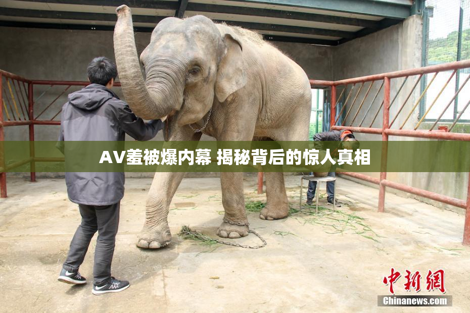 AV羞被爆内幕 揭秘背后的惊人真相