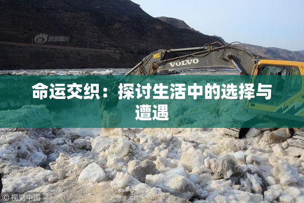 命运交织：探讨生活中的选择与遭遇
