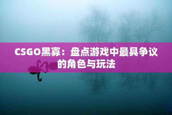CSGO黑寡：盘点游戏中最具争议的角色与玩法