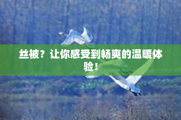 丝被？让你感受到畅爽的温暖体验！