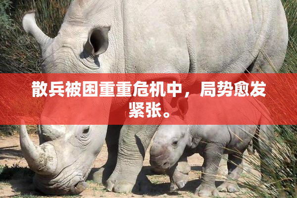 散兵被困重重危机中，局势愈发紧张。