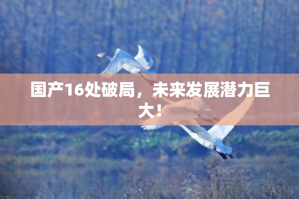 国产16处破局，未来发展潜力巨大！