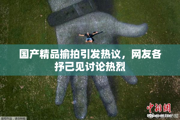 国产精品揄拍引发热议，网友各抒己见讨论热烈