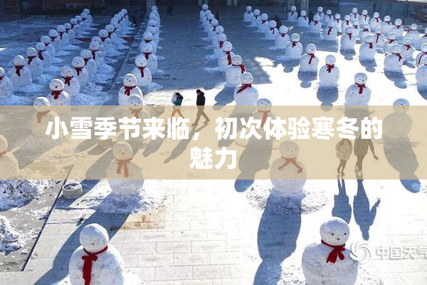 小雪季节来临，初次体验寒冬的魅力