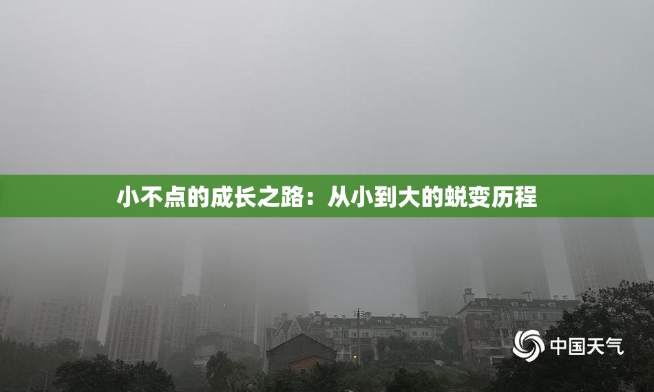 小不点的成长之路：从小到大的蜕变历程