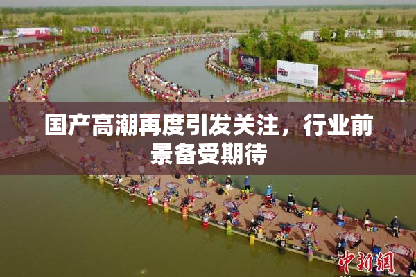 国产高潮再度引发关注，行业前景备受期待
